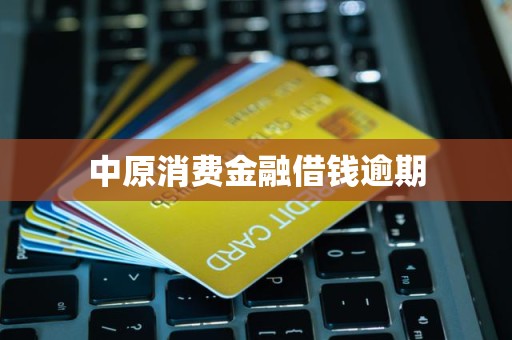 中原消費(fèi)金融逾期借款催收流程解析 金融機(jī)構(gòu)委托第三方處理的影響與應(yīng)對(duì)